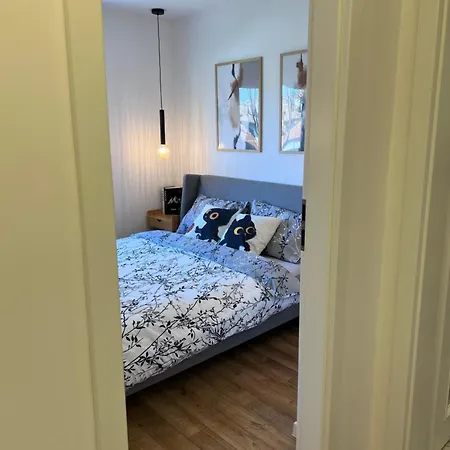 Black Cat Apartment *