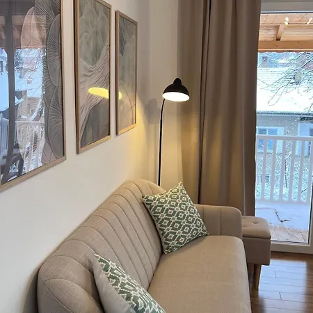 Black Cat * Veliko Tárnovo