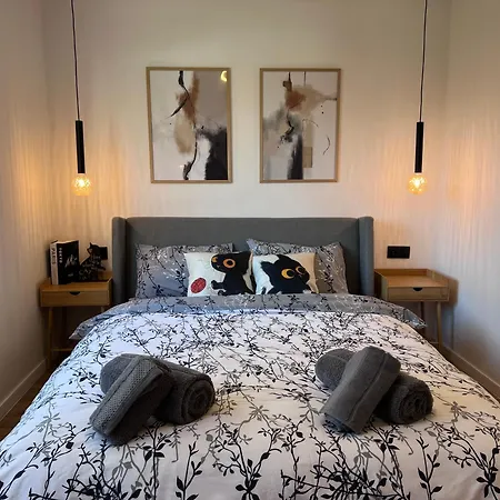 Black Cat Apartment *