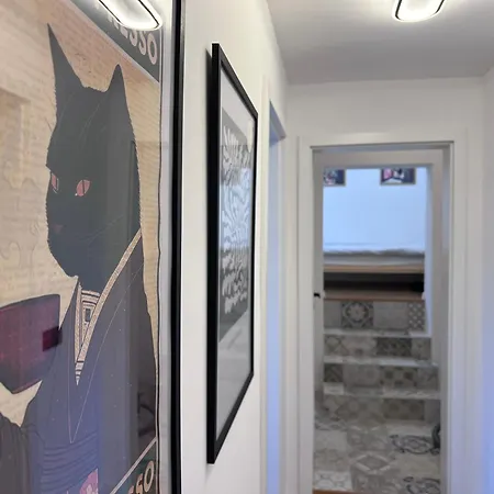 Black Cat * Veliko Tárnovo